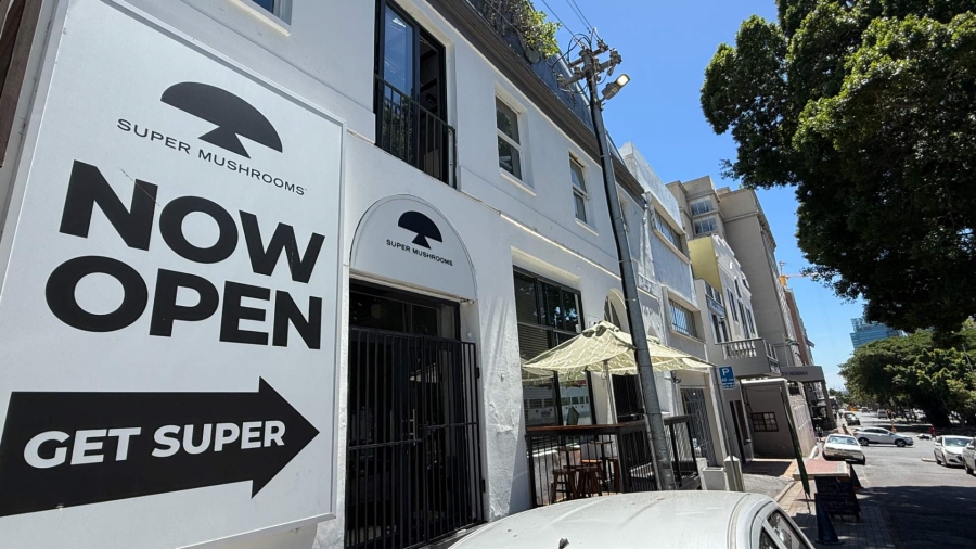 To Let commercial Property for Rent in Cape Town City Centre Western Cape